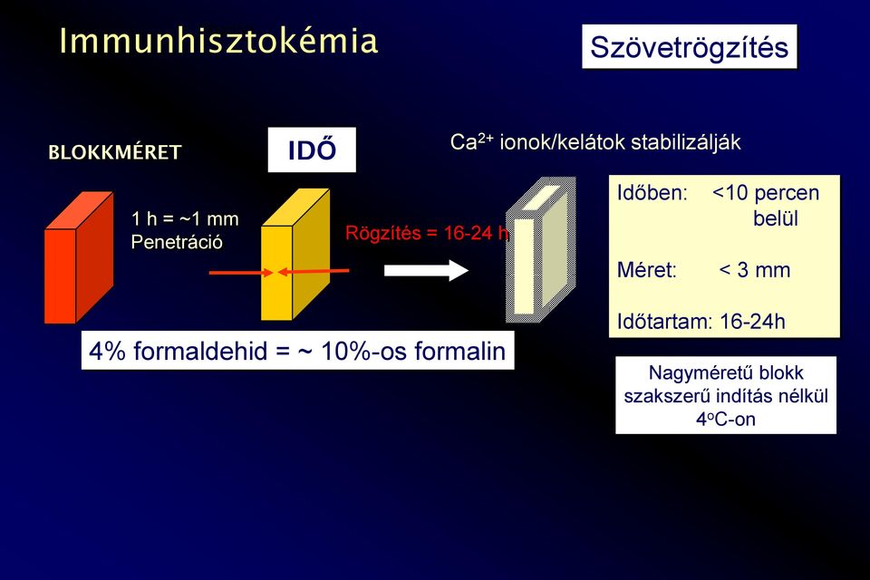 Időben: Méret: <10 percen belül < 3 mm 4% formaldehid = ~ 10%-os