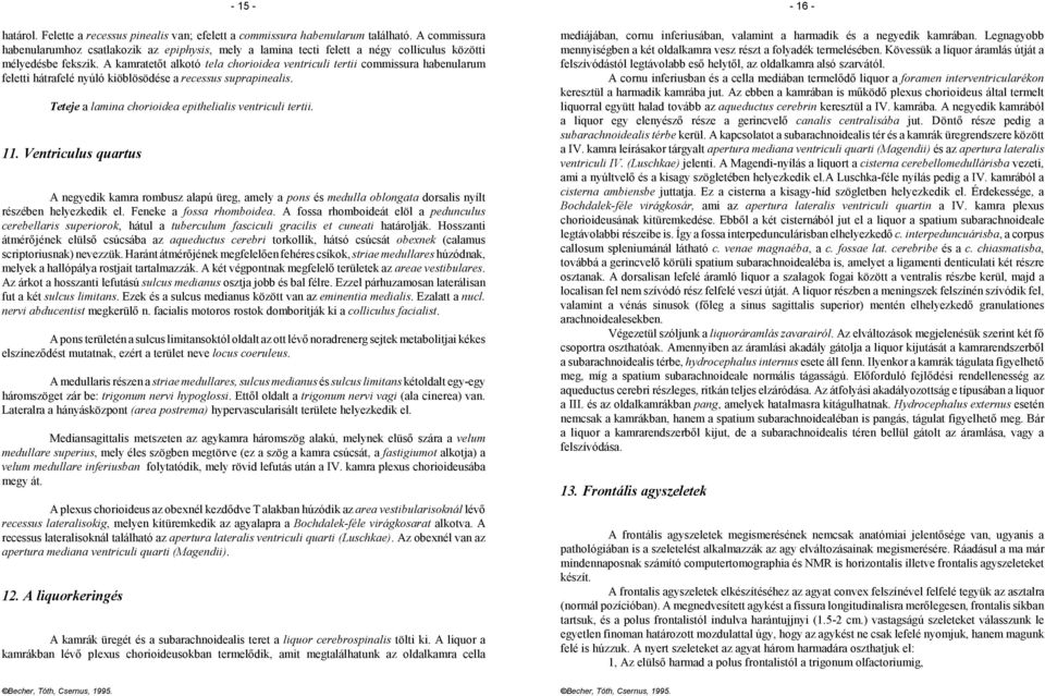 A kamratetőt alkotó tela chorioidea ventriculi tertii commissura habenularum feletti hátrafelé nyúló kiöblösödése a recessus suprapinealis. Teteje a lamina chorioidea epithelialis ventriculi tertii.