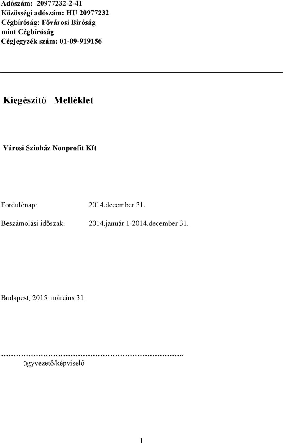 Városi Színház Nonprofit Kft Fordulónap: 2014.december 31.