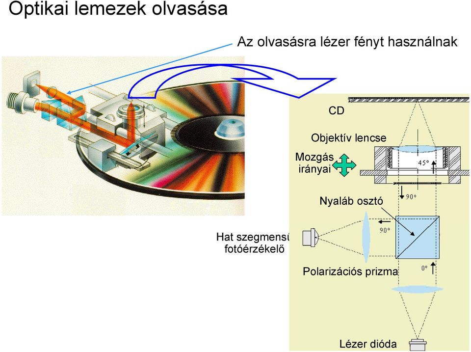 Mozgás irányai Nyaláb osztó Hat szegmensű