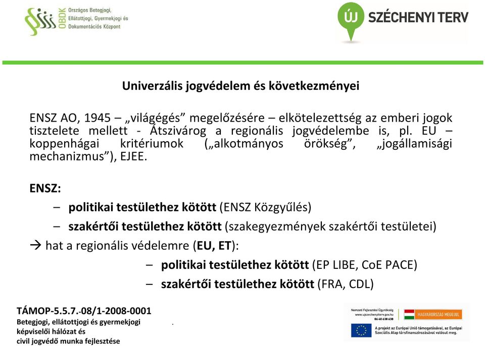 ENSZ: politikai testülethez kötött (ENSZ Közgyűlés) szakértői testülethez kötött (szakegyezmények szakértői testületei) hat a