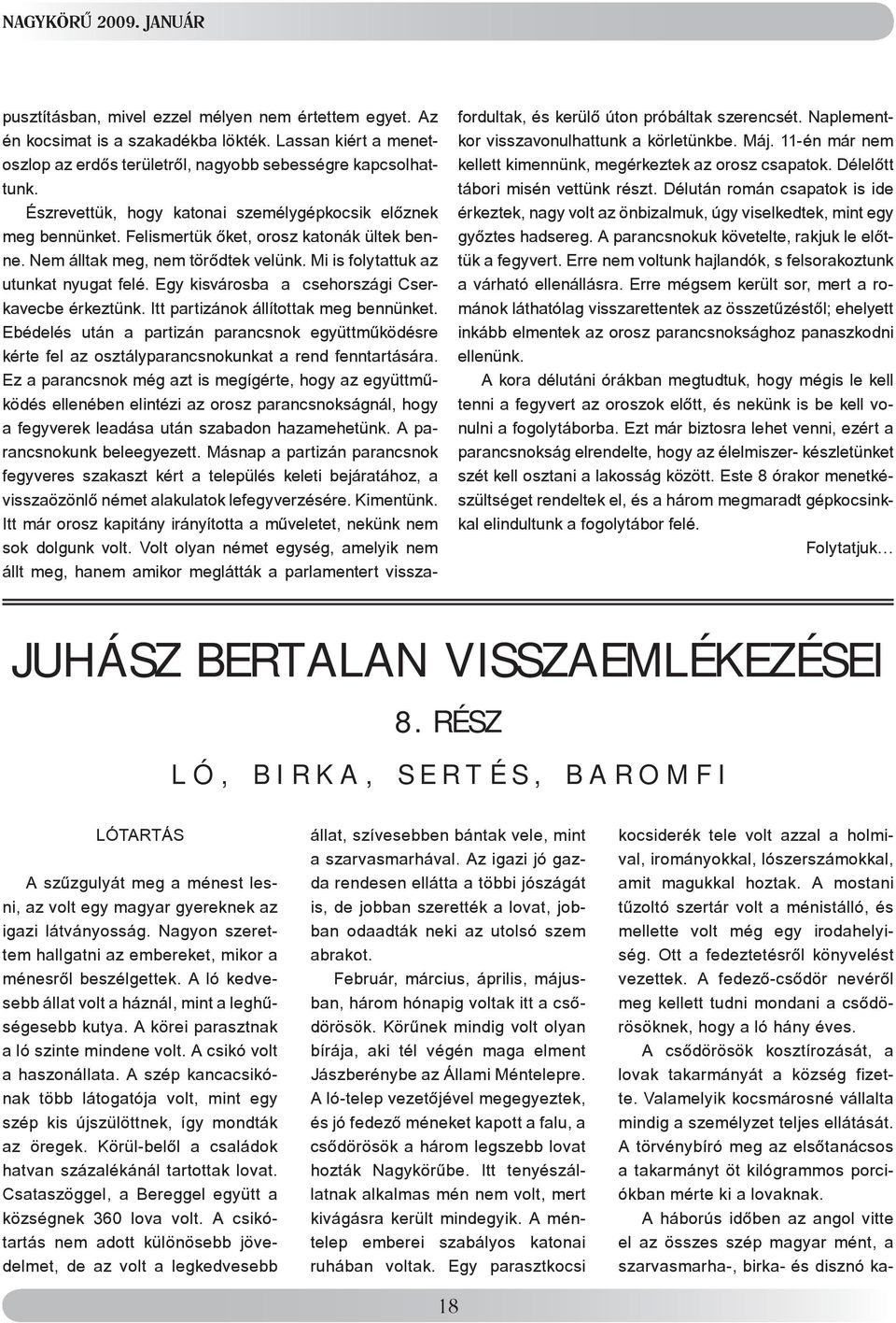 Egy kisvárosba a csehországi Cserkavecbe érkeztünk. Itt partizánok állítottak meg bennünket.