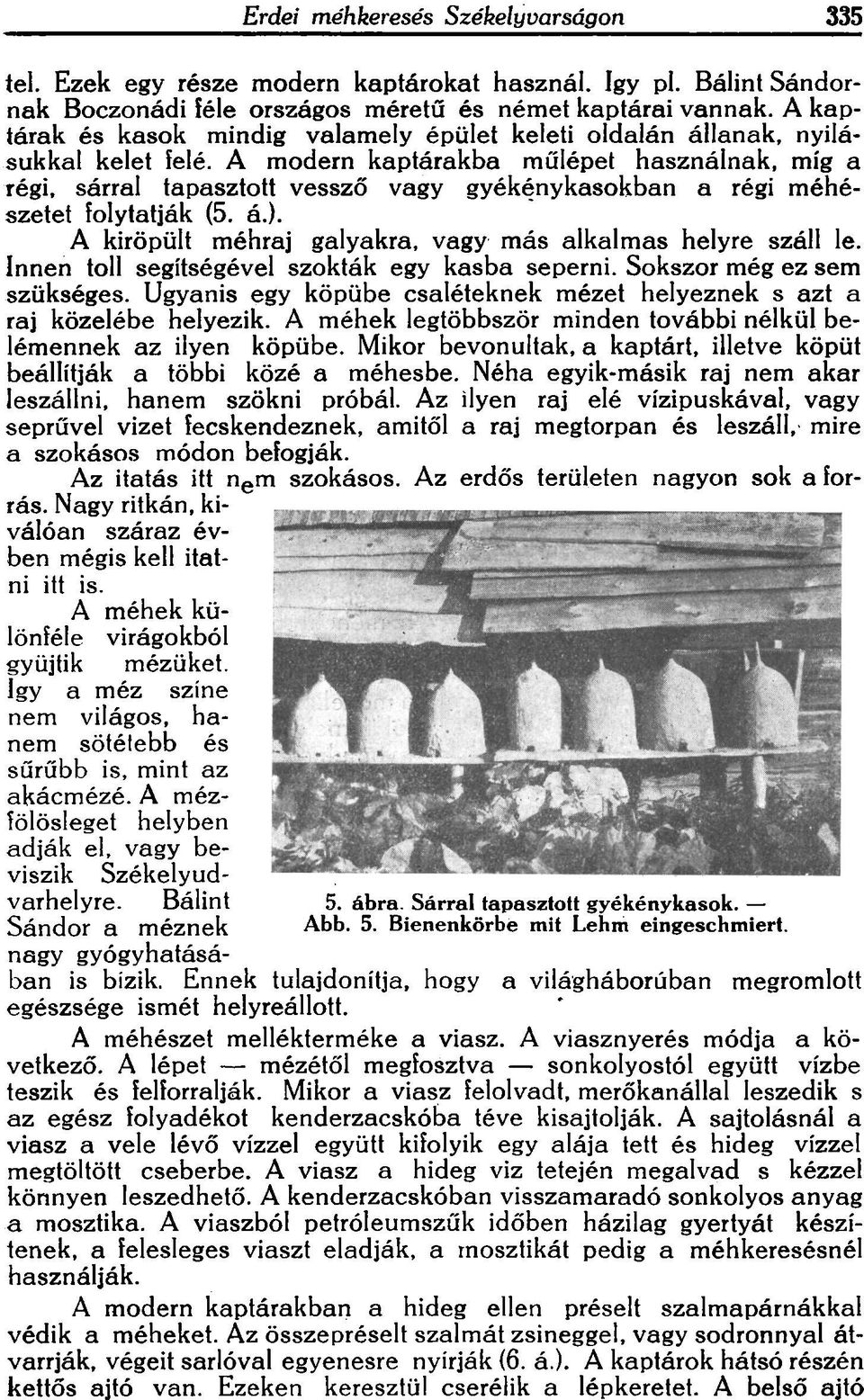 meheszetet Iolvtatiak (5. a.). - A kiropult mehrai galyakra. vagy mas alkalmas helyre szall Ie. Innen loll segitsegevel szoktak egy kasba seperni. Sokszor meg ez sem szukseges.