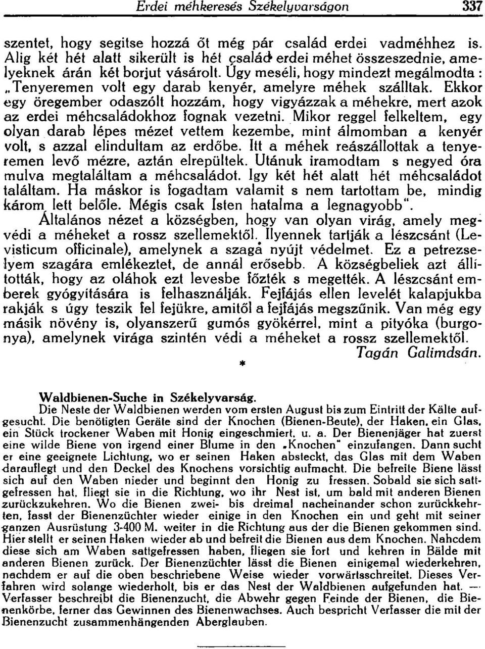 .Tenyeremen volt egy darab kenyer, amelyre rnehek szalllak. Ekkor egy oregernber odasz61t hozzam, hogy vigyazzak a mehekre, mert azok az erdei mehcseladokhoz Ioznak vezetni.