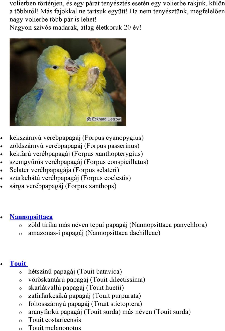 kékszárnyú verébpapagáj (Frpus cyanpygius) zöldszárnyú verébpapagáj (Frpus passerinus) kékfarú verébpapagáj (Frpus xanthpterygius) szemgyűrűs verébpapagáj (Frpus cnspicillatus) Sclater verébpapagája