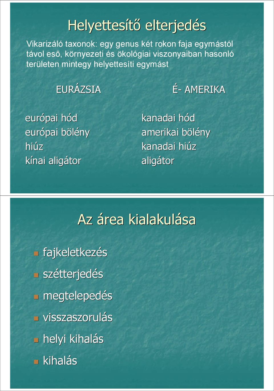 AMERIKA európai hód európai bölény hiúz kínai aligátor kanadai hód amerikai bölény kanadai hiúz