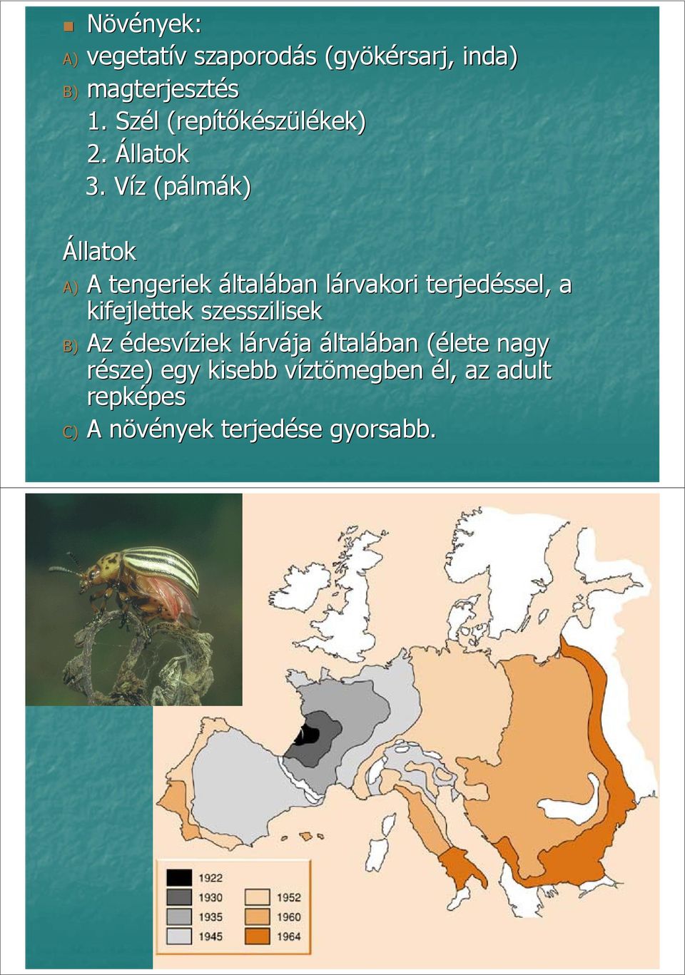 Víz (pálmák) Állatok A) A tengeriek általában lárvakori terjedéssel, a kifejlettek