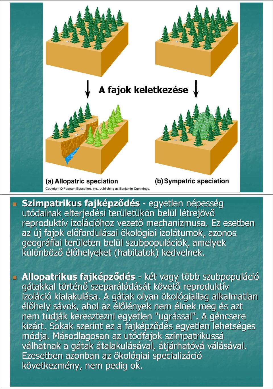 Allopatrikus fajképződés - két vagy több szubpopuláció gátakkal történő szeparálódását követő reproduktív izoláció kialakulása.