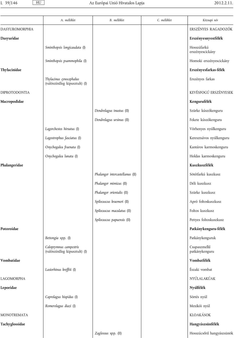 Erszényesfarkas-félék Thylacinus cynocephalus (valószínűleg kipusztult) (I) Erszényes farkas DIPROTODONTIA Macropodidae KEVÉSFOGÚ ERSZÉNYESEK Kengurufélék Dendrolagus inustus (II) Dendrolagus ursinus