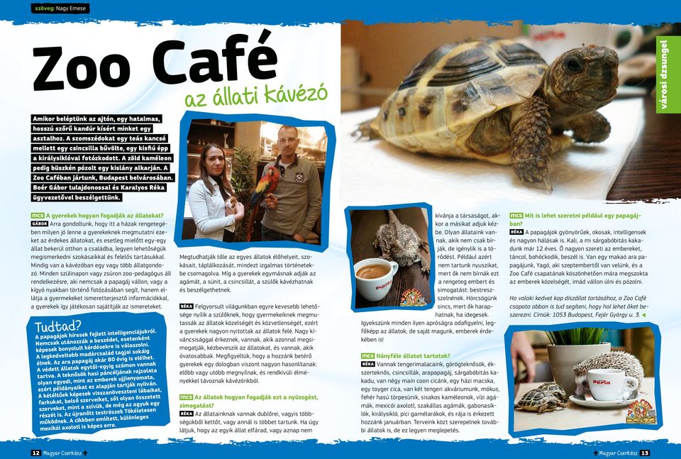 A Zoo Caféban jártunk, Budapest belvárosában. Boér Gábor tulajdonossal és Karalyos Réka ügyvezetővel beszélgettünk. az állati kávézó városi dzsungel mcs A gyerekek hogyan fogadják az állatokat?