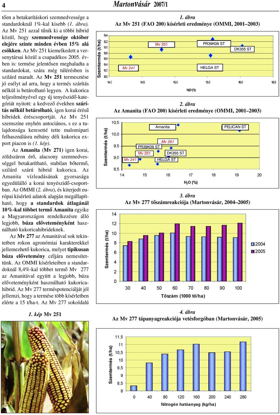 évben is: termése jelentõsen meghaladta a standardokat, szára még túlérésben is szilárd maradt. Az Mv 251 termesztése jó esélyt ad arra, hogy a termés szárítás nélkül is betárolható legyen.