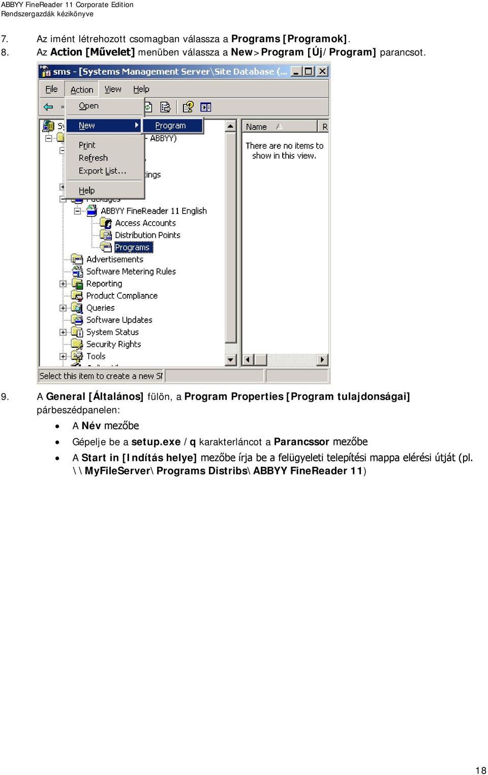 A General [Általános] fülön, a Program Properties [Program tulajdonságai] párbeszédpanelen: A Név mezőbe Gépelje be