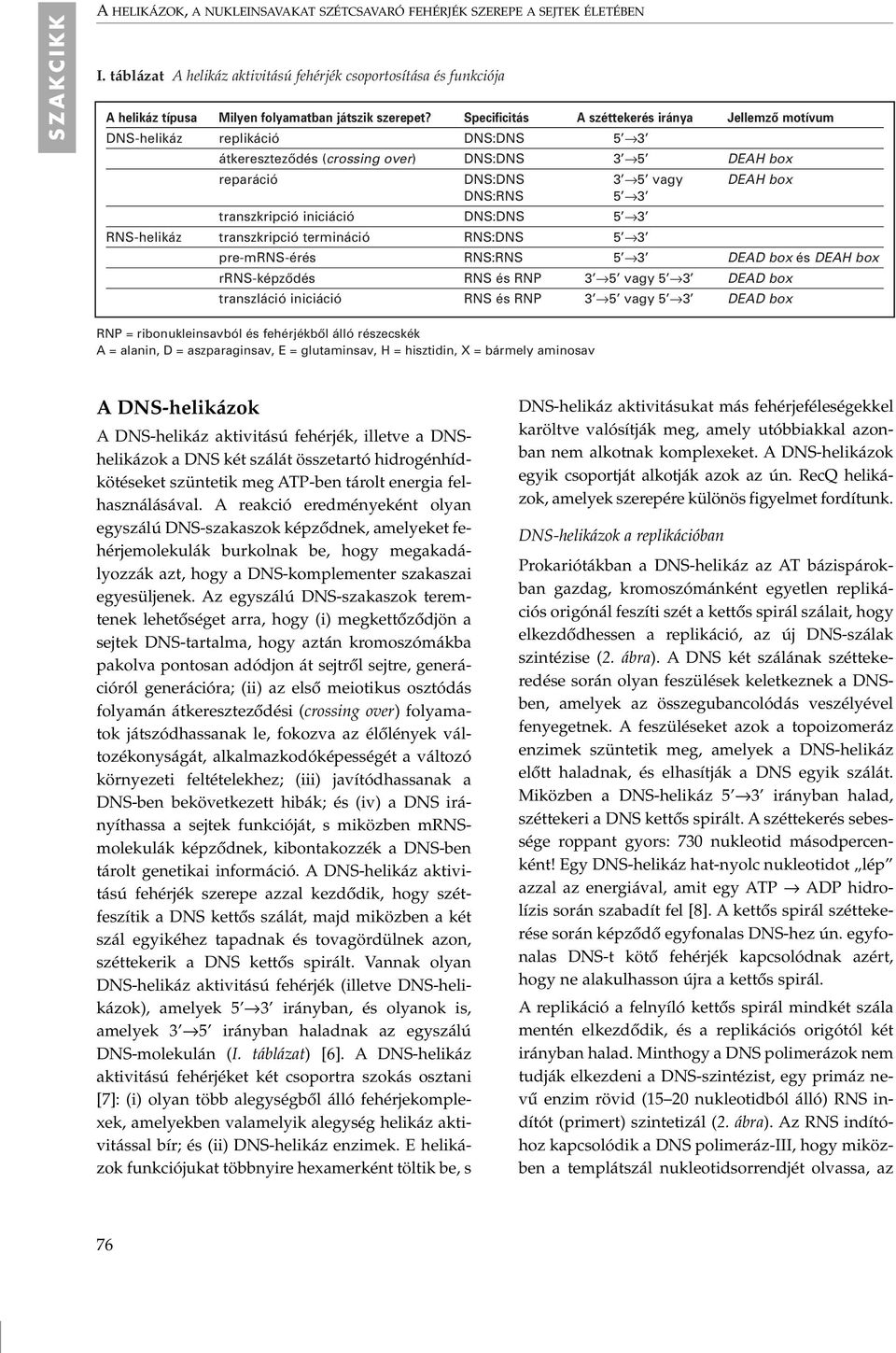 Specificitás A széttekerés iránya Jellemzô motívum DNS-helikáz replikáció DNS:DNS 5 3 átkeresztezôdés (crossing over) DNS:DNS 3 5 DEAH box reparáció DNS:DNS 3 5 vagy DEAH box DNS:RNS 5 3