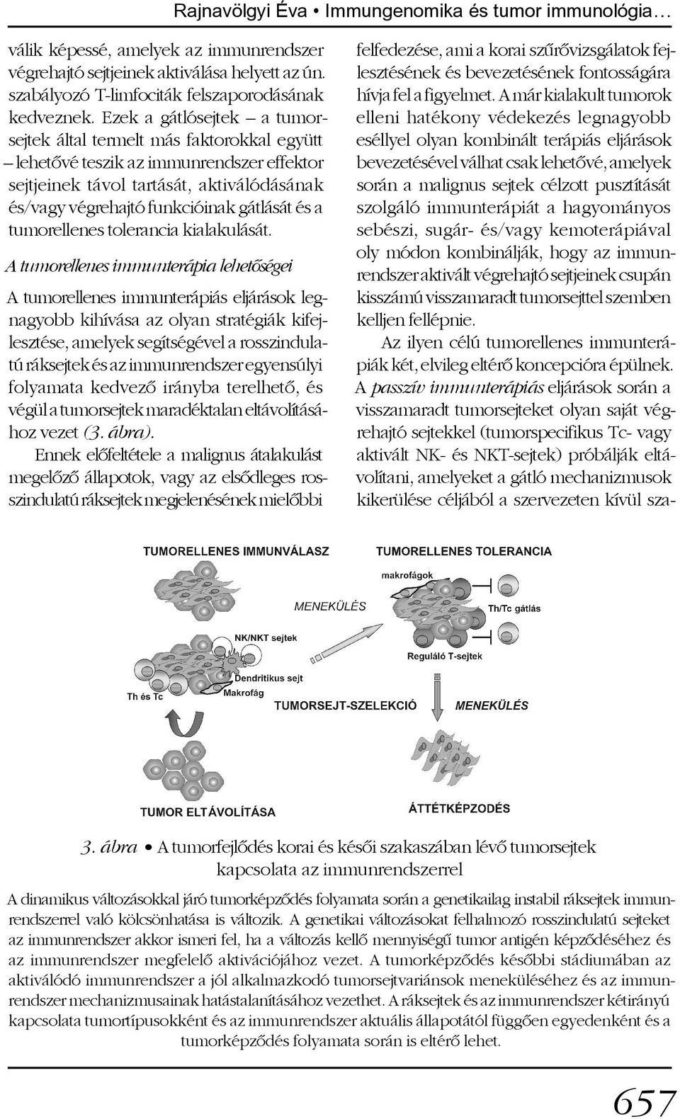 tumorellenes tolerancia kialakulását.