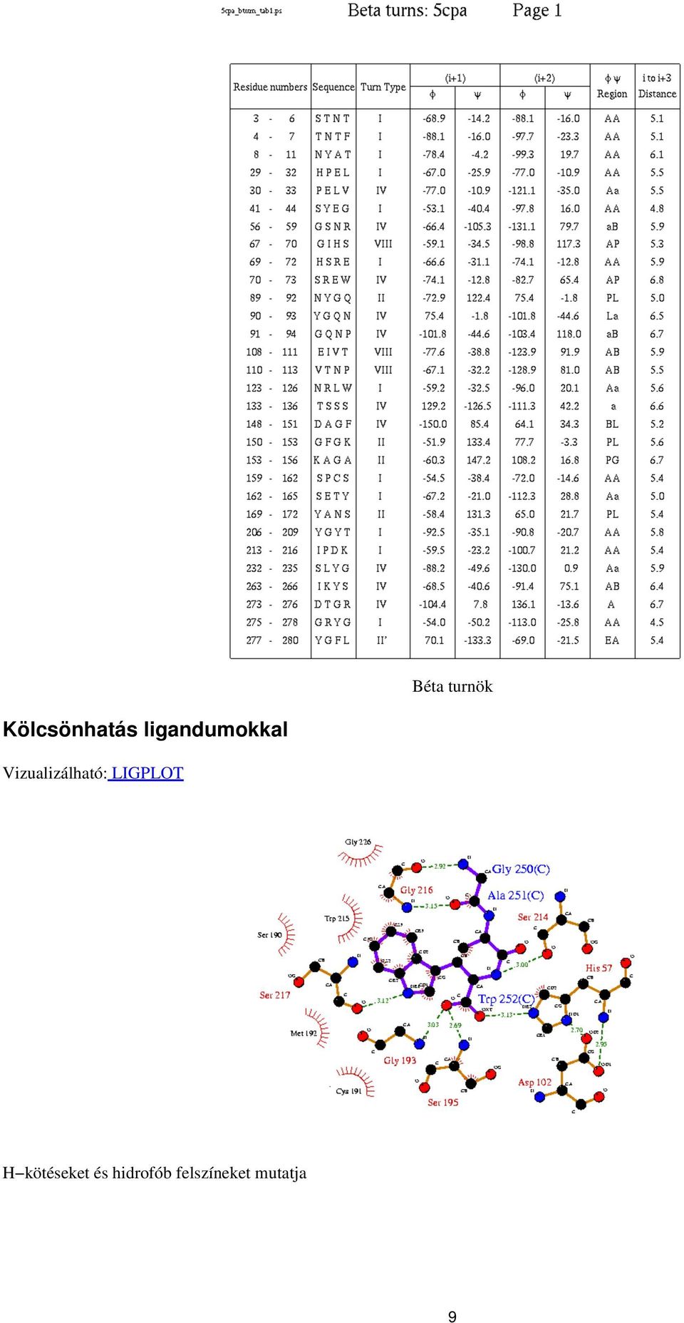 Vizualizálható: LIGPLOT H