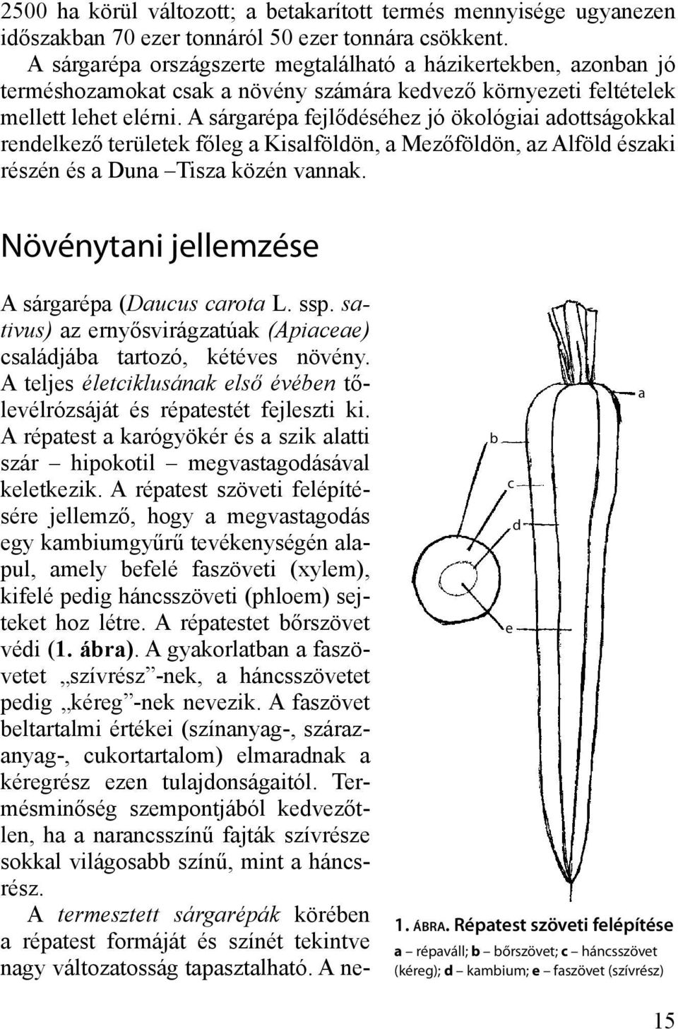 A sárgarépa fejlődéséhez jó ökológiai adottságokkal rendelkező területek főleg a Kisalföldön, a Mezőföldön, az Alföld északi részén és a Duna Tisza közén vannak.