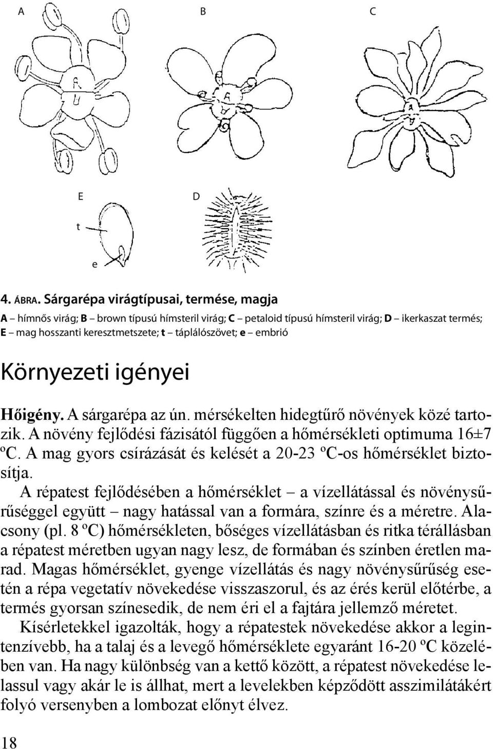 embrió Környezeti igényei Hőigény. A sárgarépa az ún. mérsékelten hidegtűrő növények közé tartozik. A növény fejlődési fázisától függően a hőmérsékleti optimuma 16±7 ºC.