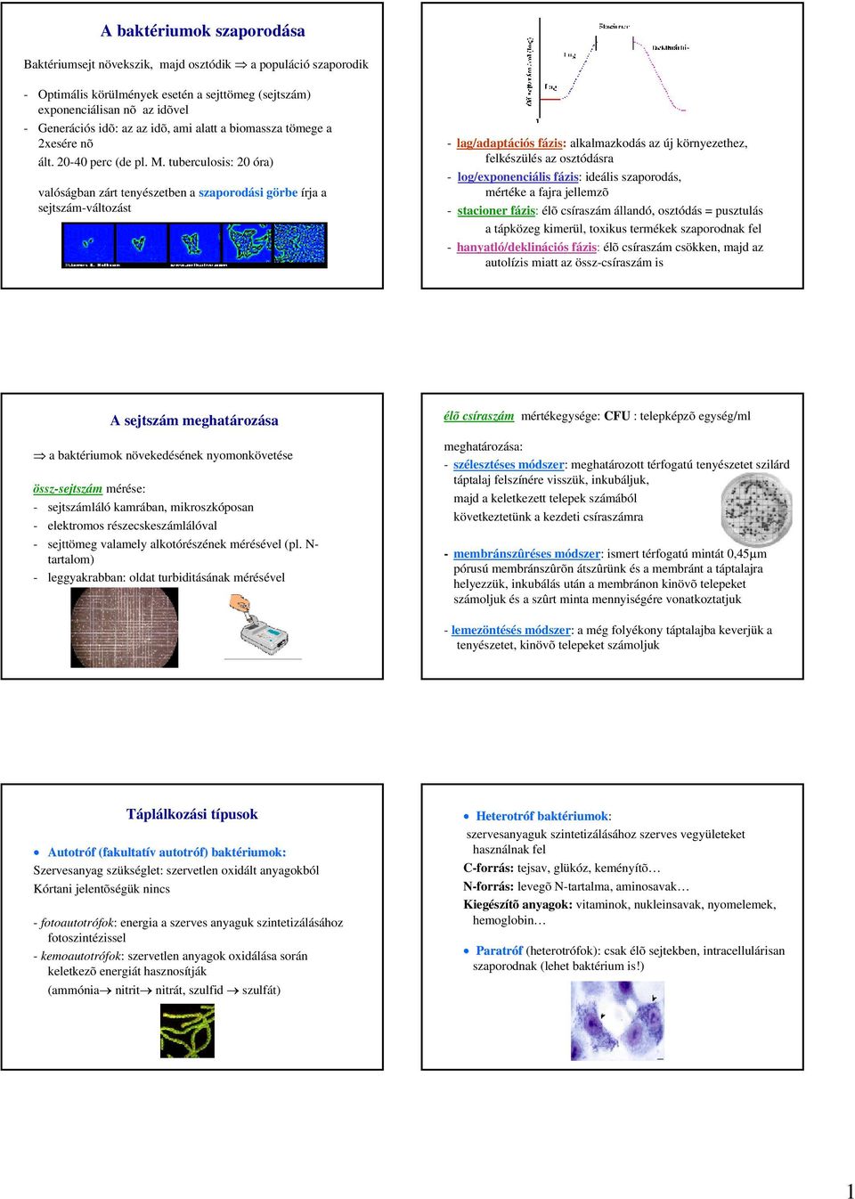 tuberculosis: 20 óra) valóságban zárt tenyészetben a szaporodási görbe írja a sejtszám-változást - lag/adaptációs fázis: alkalmazkodás az új környezethez, felkészülés az osztódásra -