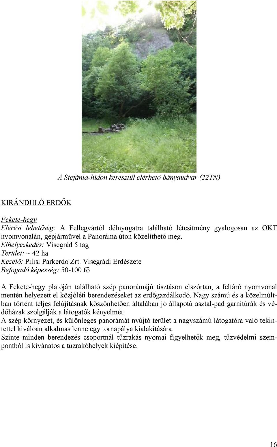 Visegrádi Erdészete Befogadó képesség: 50-100 fő A Fekete-hegy platóján található szép panorámájú tisztáson elszórtan, a feltáró nyomvonal mentén helyezett el közjóléti berendezéseket az