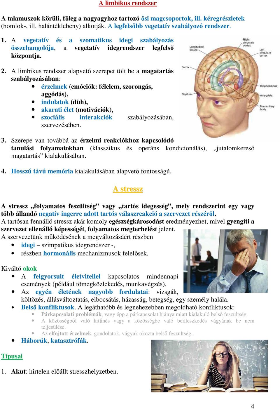 A limbikus rendszer alapvető szerepet tölt be a magatartás szabályozásában: érzelmek (emóciók: félelem, szorongás, aggódás), indulatok (düh), akarati élet (motivációk), szociális interakciók