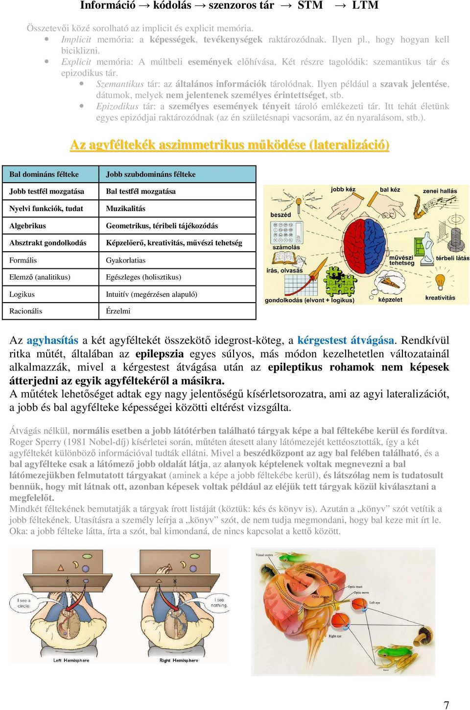 Ilyen például a szavak jelentése, dátumok, melyek nem jelentenek személyes érintettséget, stb. Epizodikus tár: a személyes események tényeit tároló emlékezeti tár.