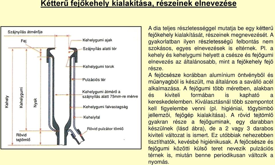 a kehely és kehelygumi helyett a csésze és fejőgumi elnevezés az általánosabb, mint a fejőkehely fejő része.