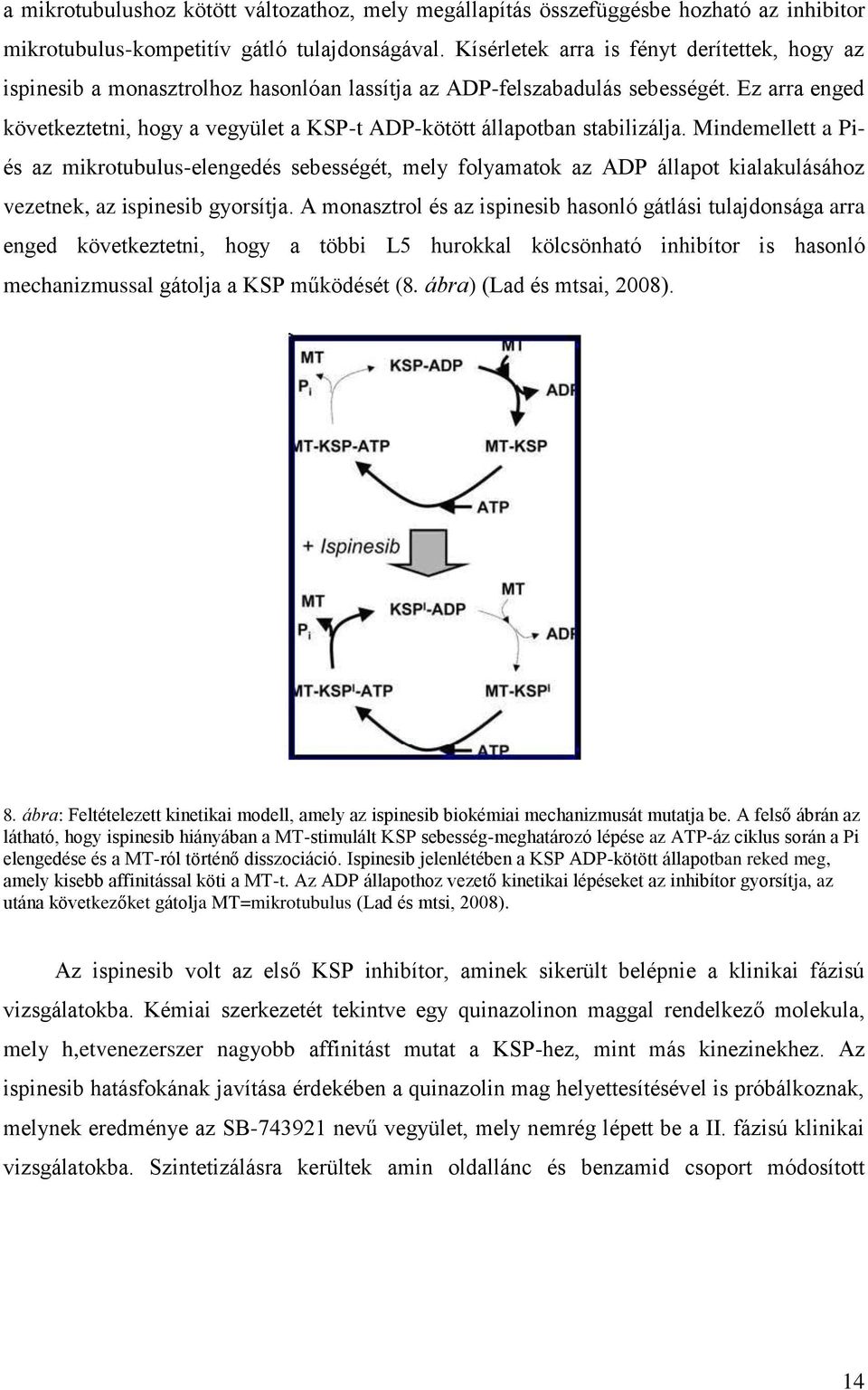 Ez arra enged következtetni, hogy a vegyület a KSP-t ADP-kötött állapotban stabilizálja.