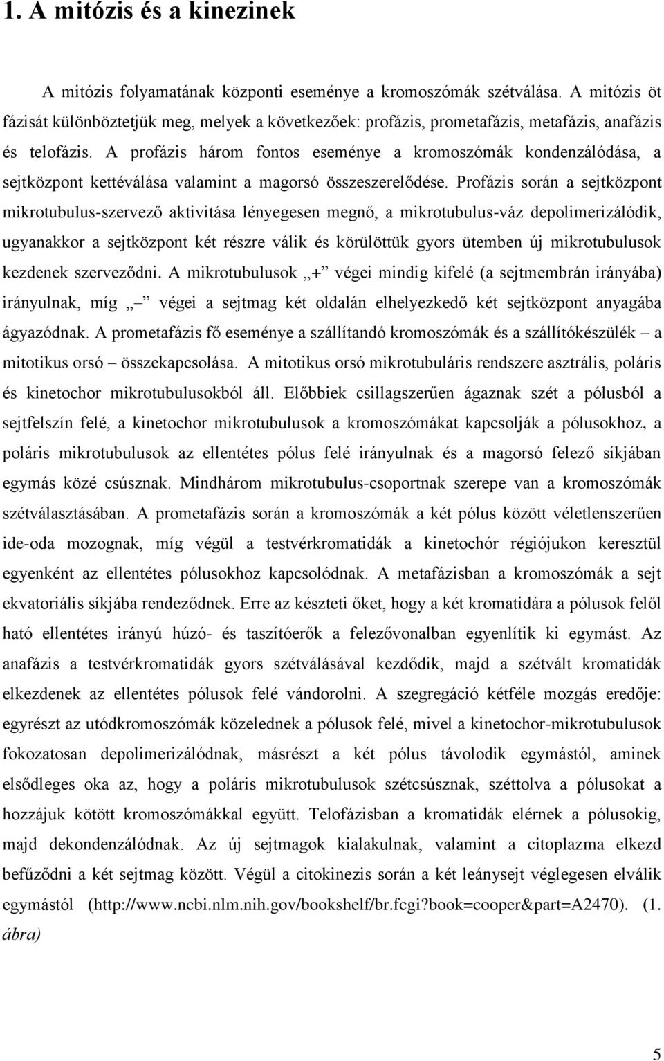 A profázis három fontos eseménye a kromoszómák kondenzálódása, a sejtközpont kettéválása valamint a magorsó összeszerelődése.