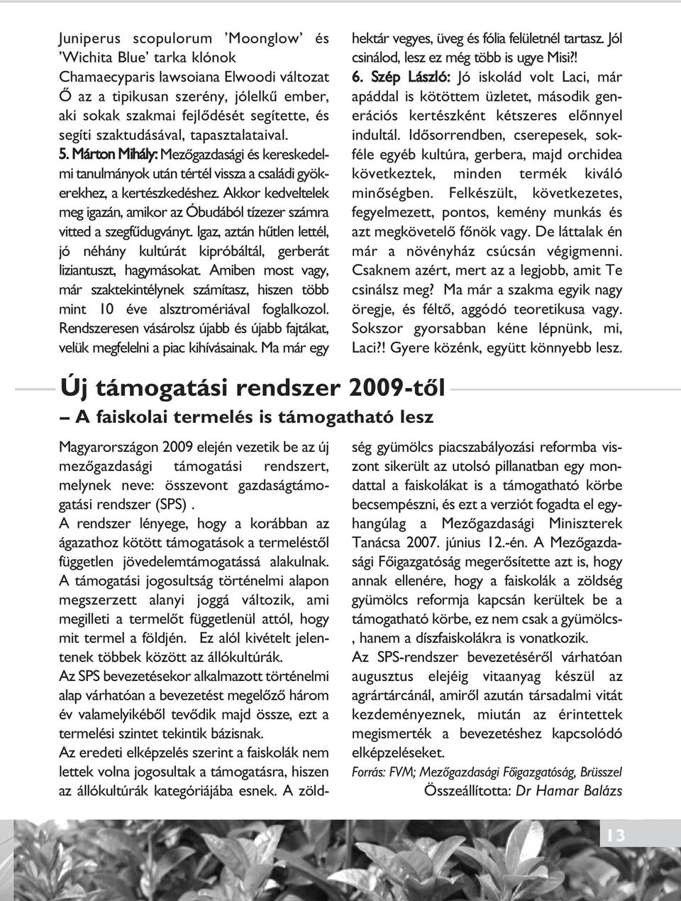 Akkor kedveltelek meg igazán, amikor az Óbudából tízezer számra vitted a szegfûdugványt. Igaz, aztán hûtlen lettél, jó néhány kultúrát kipróbáltál, gerberát liziantuszt, hagymásokat.