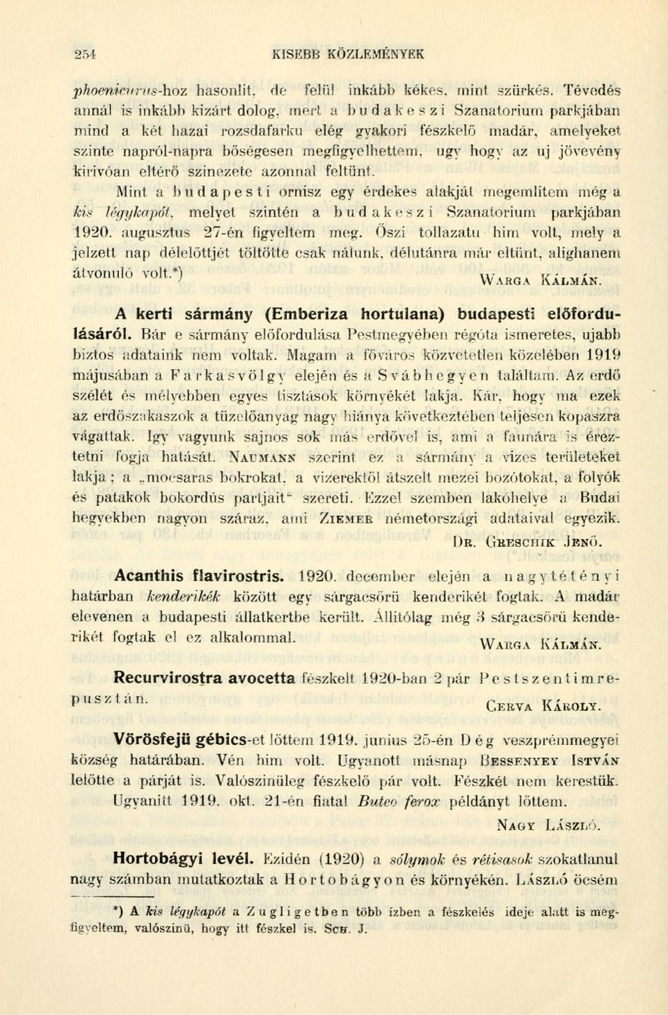 hogy az uj jövevény kirívóan eltérő színezete azonnal feltűnt. Mint a budapesti ornisz egy érdekes alakját megemlítem még a kis légykapót, melyet szintén a budakeszi Szanatórium parkjában 1920.