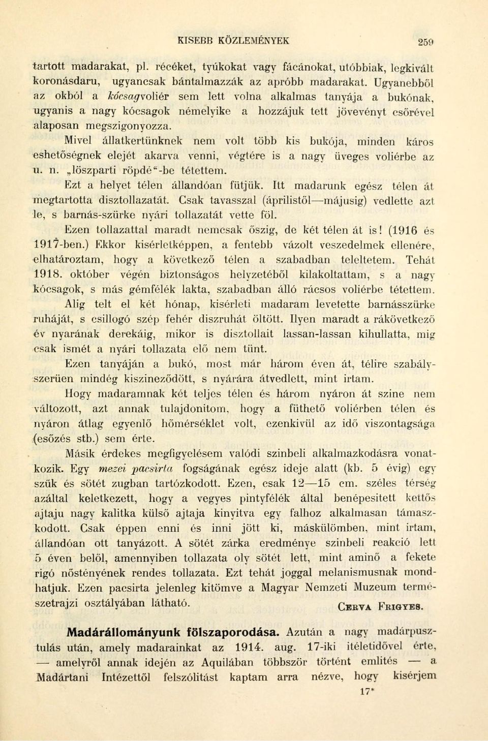 Mivel állatkertünknek nem volt több kis bukója, minden káros eshetőségnek elejét akarva venni, végtére is a nagy üveges voliérbe az u. n. löszparti röpdé"-be tétettem.