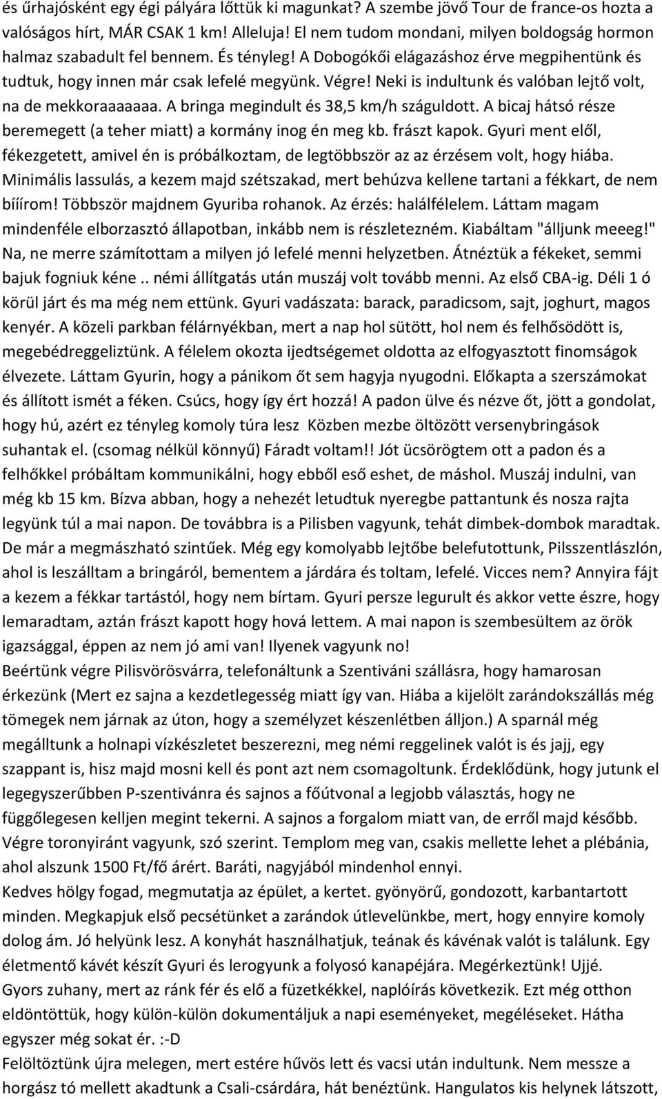 Neki is indultunk és valóban lejtő volt, na de mekkoraaaaaaa. A bringa megindult és 38,5 km/h száguldott. A bicaj hátsó része beremegett (a teher miatt) a kormány inog én meg kb. frászt kapok.