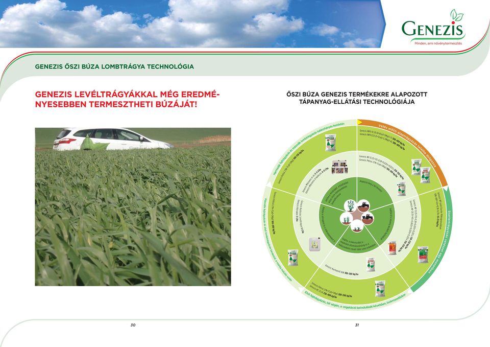 lombtrágyázás tavasszal, a szárba indulás során Pétisó 27N+7CaO+5MgO 100-150 l/ha 5 Levéltrágya l/ha Kalászos 3 Nitrokén Mikromix-A réz 3-5 l/ha Mikromix-A kalászos 4-6 l/ha Javítsa a minőséget, a