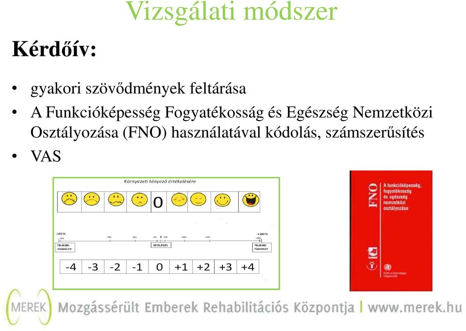 Fogyatékosság és Egészség Nemzetközi