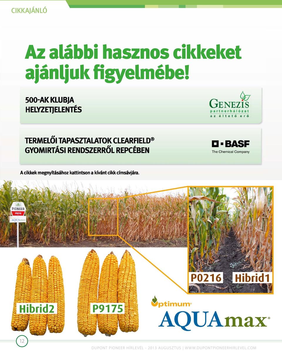 12 DUPONT PIONEER HÍRLEVÉL -