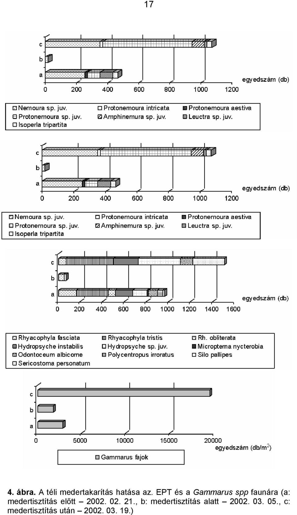 medertisztítás előtt 2002. 02. 21.