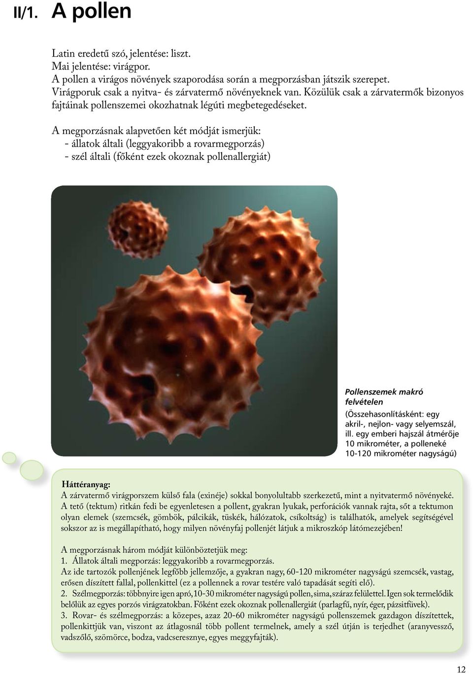 A megporzásnak alapvetően két módját ismerjük: - állatok általi (leggyakoribb a rovarmegporzás) - szél általi (főként ezek okoznak pollenallergiát) Pollenszemek makró felvételen (Összehasonlításként:
