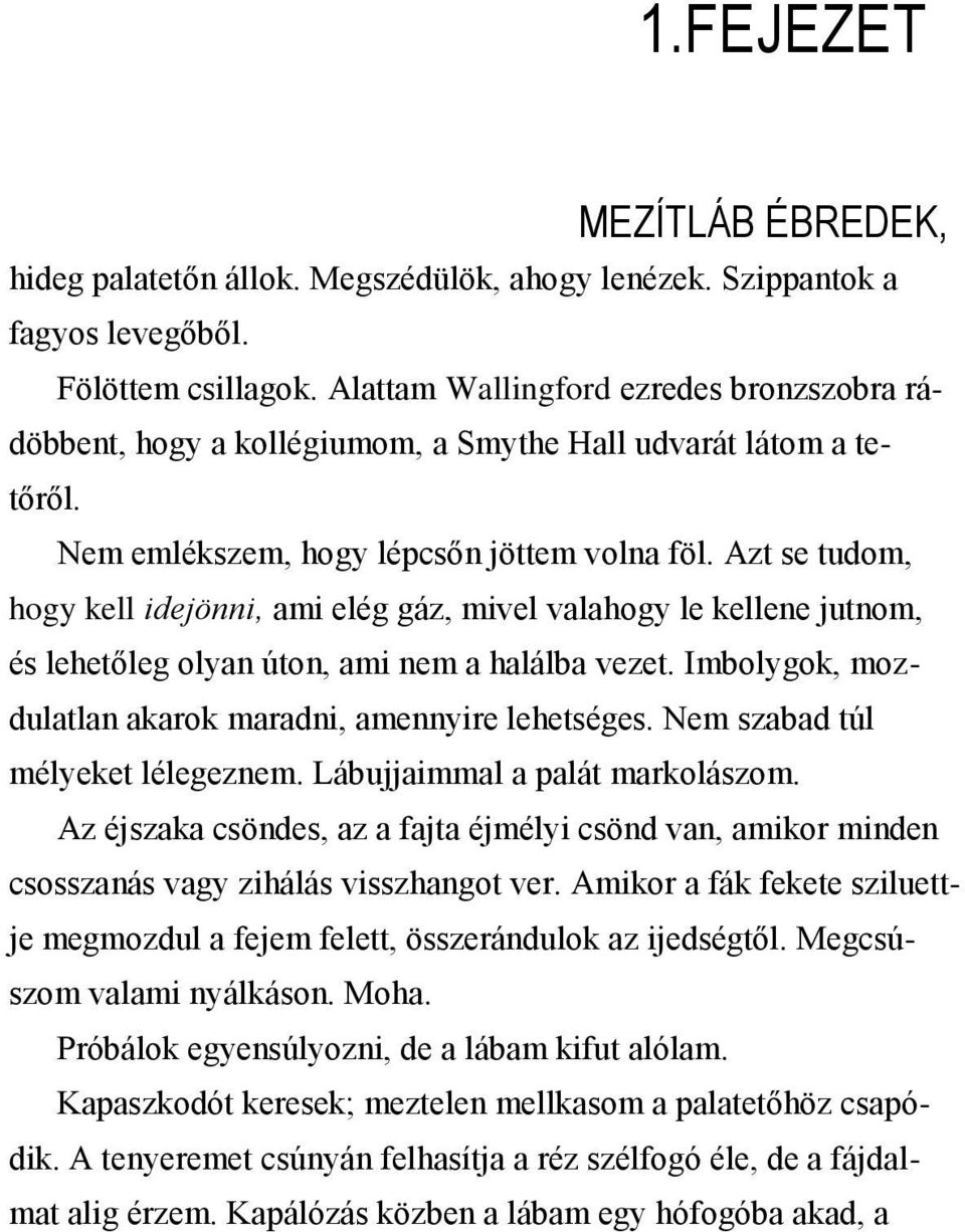 Azt se tudom, hogy kell idejönni, ami elég gáz, mivel valahogy le kellene jutnom, és lehetőleg olyan úton, ami nem a halálba vezet. Imbolygok, mozdulatlan akarok maradni, amennyire lehetséges.