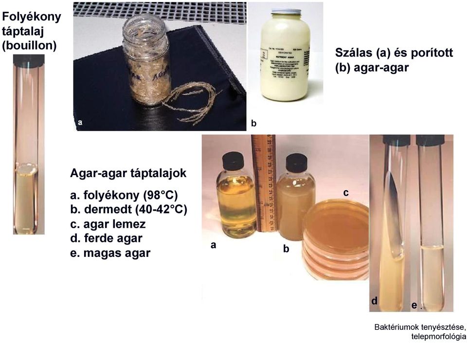 folyékony (98 C) b. dermedt (40-42 C) c. agar lemez d.