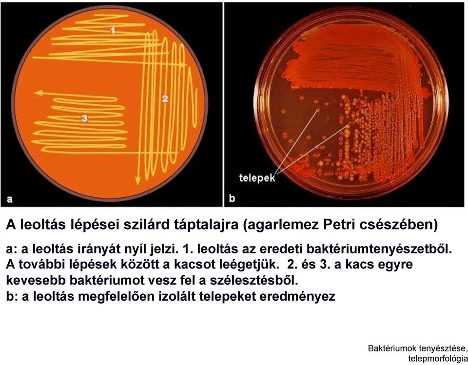 A további lépések között a kacsot leégetjük. 2. és 3.