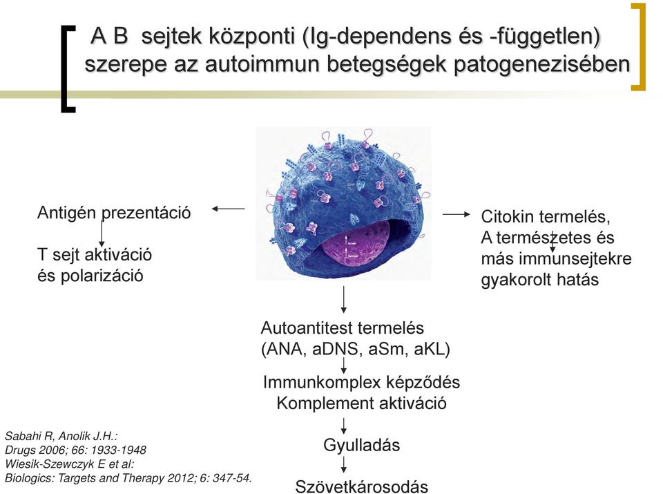 Autoantitest termelés (ANA, adns, asm, akl) Immunkomplex képződés Komplement aktiváció Sabahi R, Anolik J.H.
