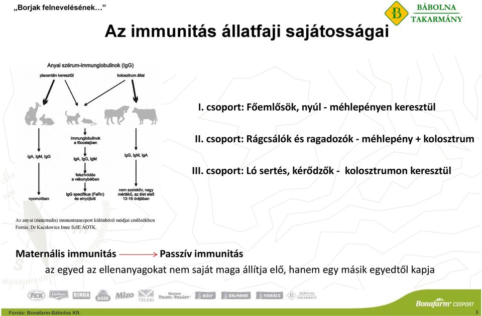 csoport: Ló sertés, kérődzők kolosztrumon keresztül Az anyai (maternalis) immuntranszport különböző módjai