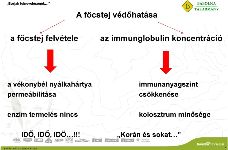 immunanyagszint csökkenése enzim termelés nincs kolosztrum