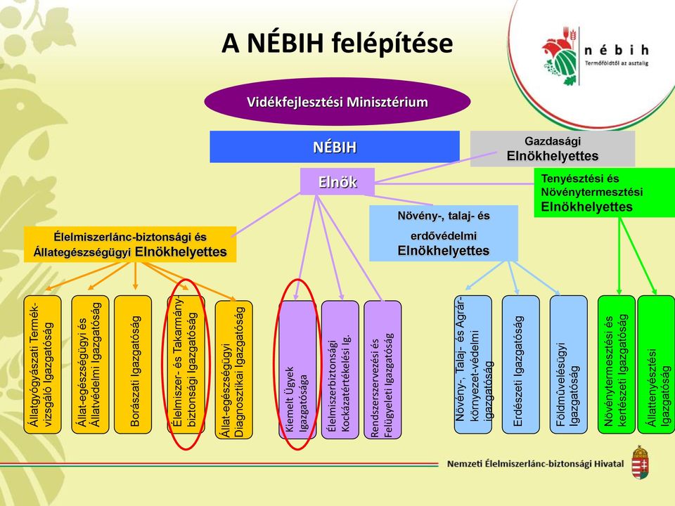 Rendszerszervezési és Felügyeleti Igazgatóság Növény-, Talaj- és Agrárkörnyezet-védelmi igazgatóság Erdészeti Igazgatóság Földmûvelésügyi Igazgatóság Növénytermesztési és kertészeti