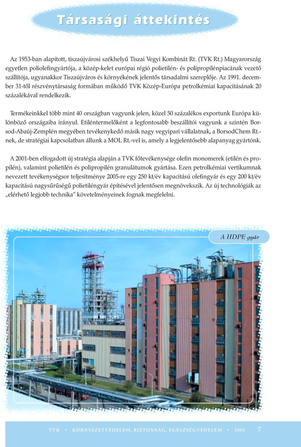 Az 1991. december 31-tõl részvénytársaság formában mûködõ TVK Közép-Európa petrolkémiai kapacitásának 20 százalékával rendelkezik.