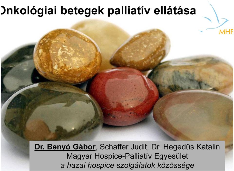 Hegedűs Katalin Magyar Hospice-Palliatív