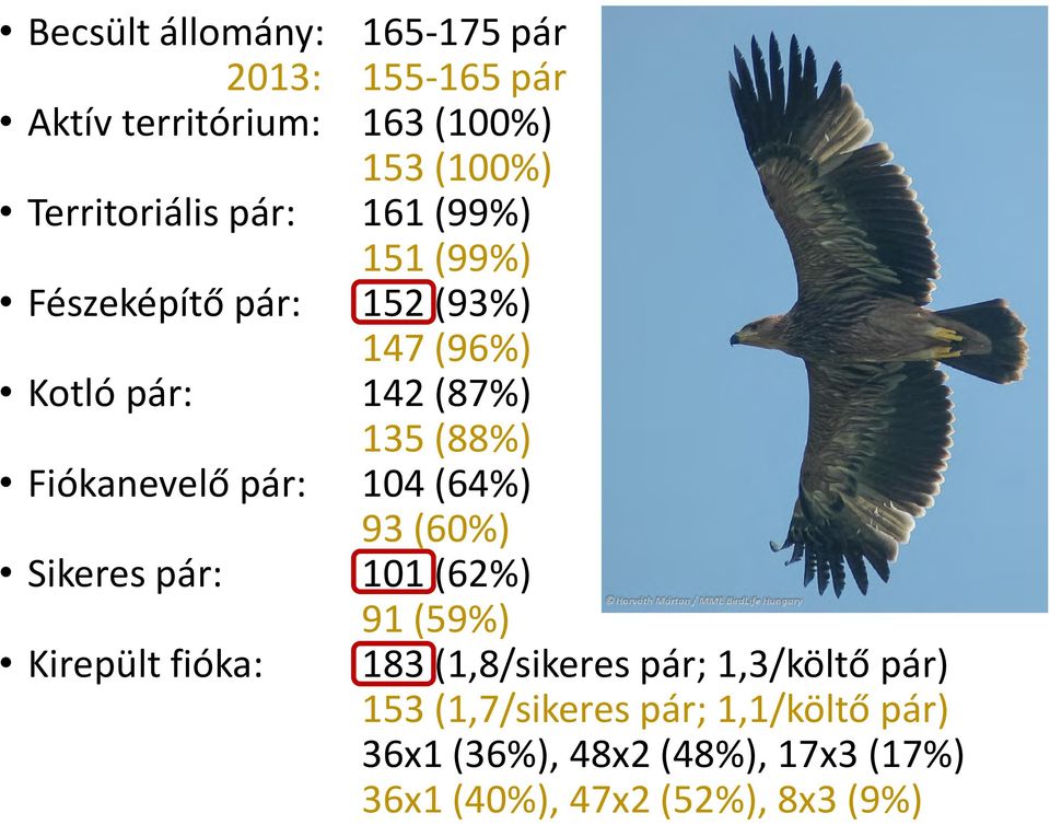 pár: 104 (64%) 93 (60%) Sikeres pár: 101 (62%) 91 (59%) Kirepült fióka: 183 (1,8/sikeres pár; 1,3/költő