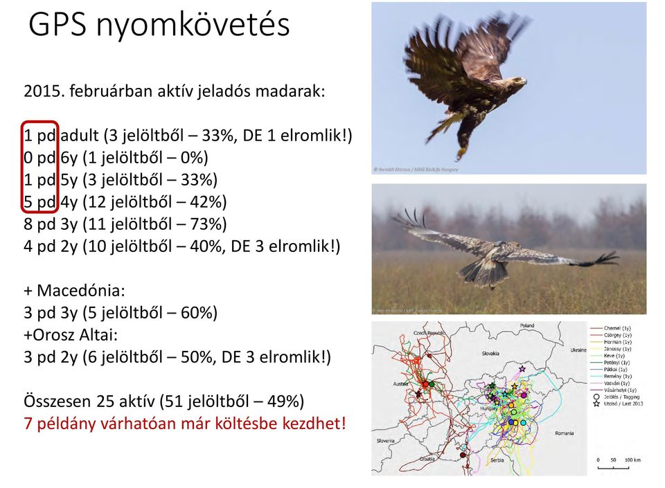 73%) 4 pd 2y (10 jelöltből 40%, DE 3 elromlik!