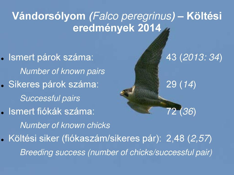 száma: 29 (14) Successful pairs Ismert fiókák száma: 72 (36) Number of known chicks Költési