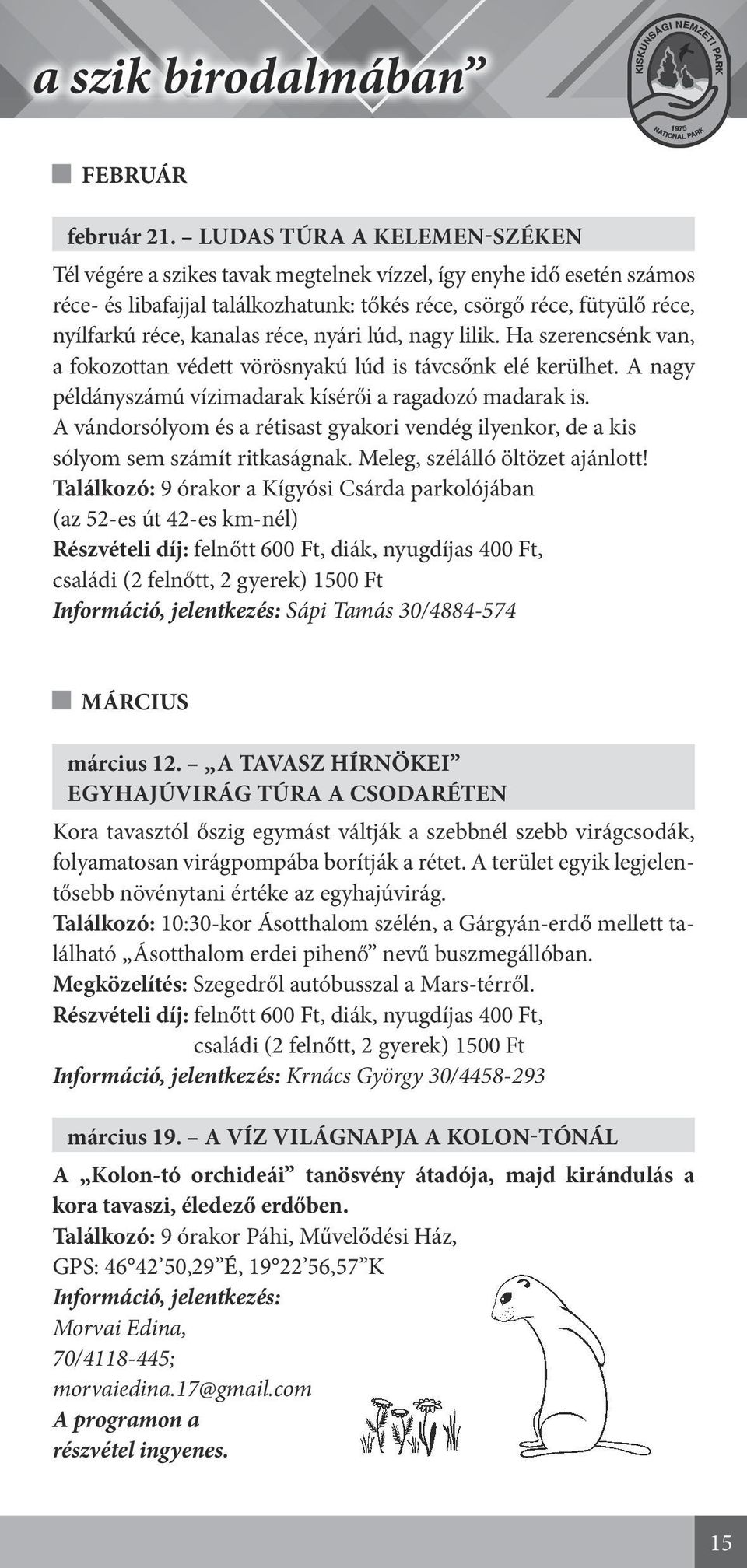 réce, nyári lúd, nagy lilik. Ha szerencsénk van, a fokozottan védett vörösnyakú lúd is távcsőnk elé kerülhet. A nagy példányszámú vízimadarak kísérői a ragadozó madarak is.